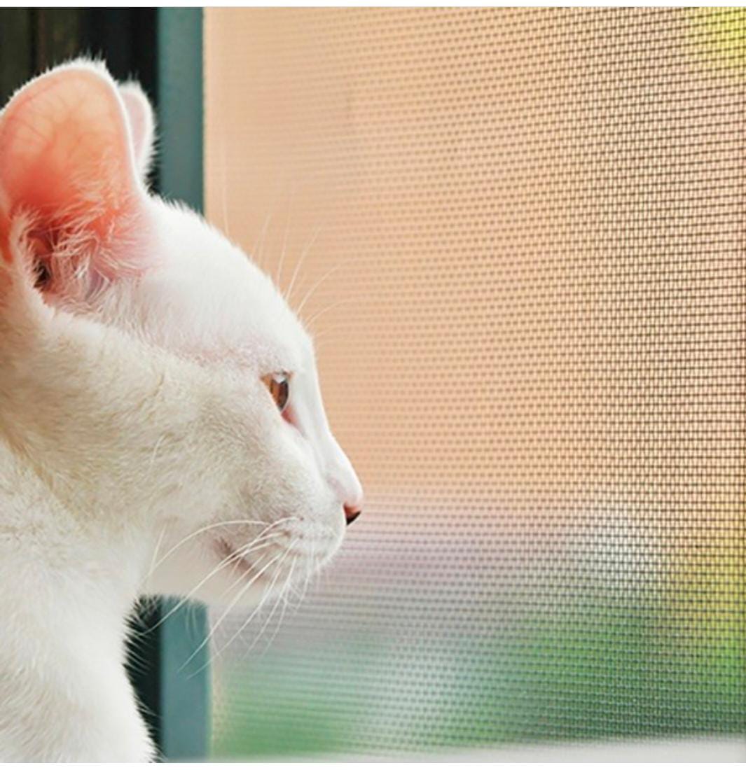 Pet screen 2